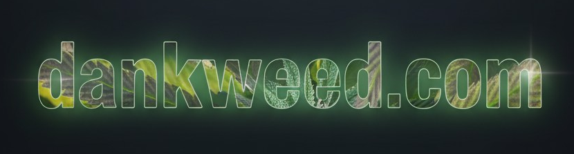 Dankweed.com\&#039;s 🏚️